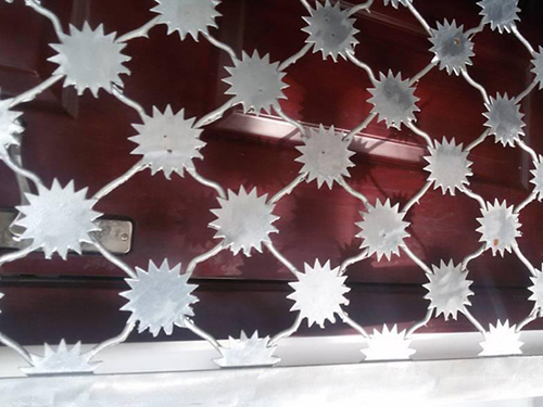 梅花刺片护栏网